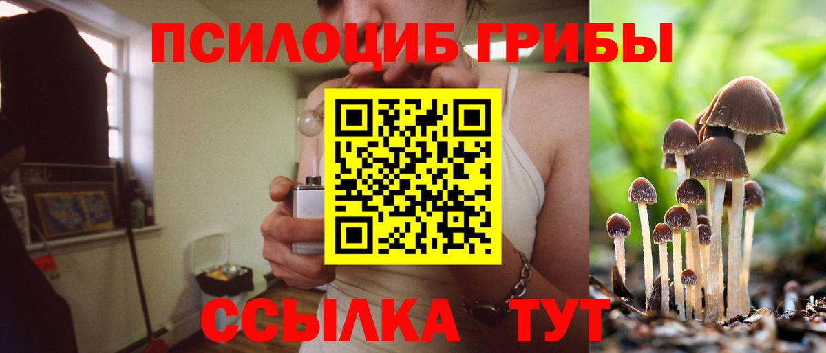 Галлюциногенные грибы Magic Shrooms Новочебоксарск